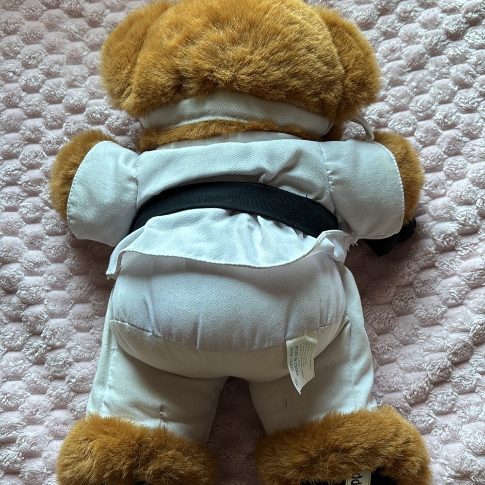Kung Fu Bear - Picture 5 of 8